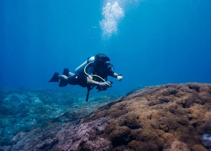 Deep Roots Dive & Yoga Ped