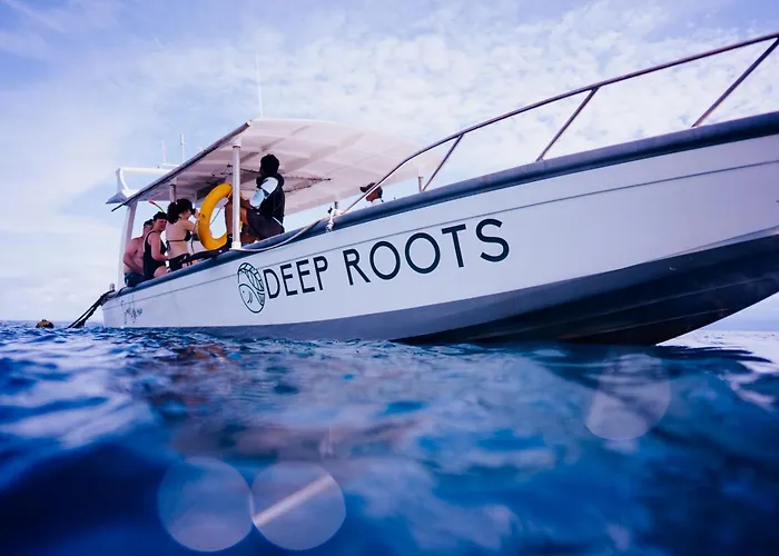 リゾート Deep Roots Dive & Yoga 4*