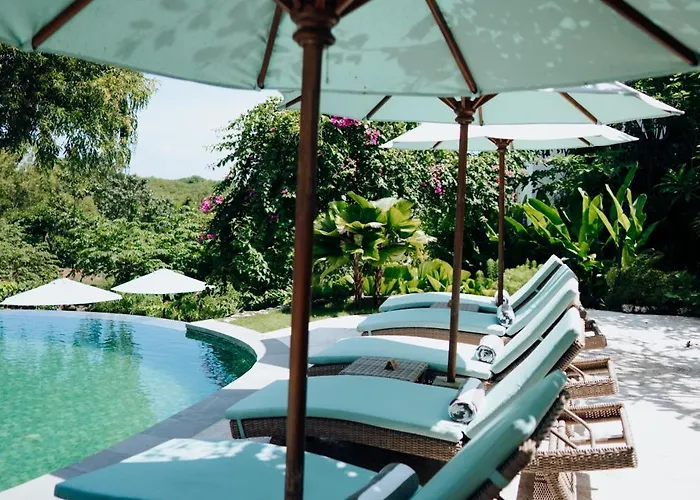 Deep Roots Dive & Yoga 4*