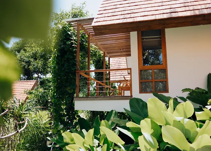 Deep Roots Dive & Yoga 4*