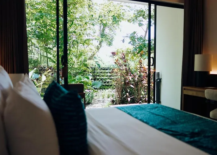 Resort Deep Roots Dive&yoga