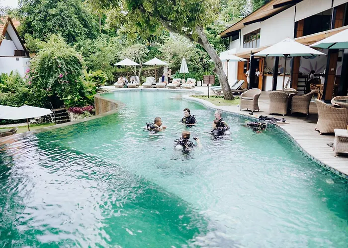 Deep Roots Dive & Yoga